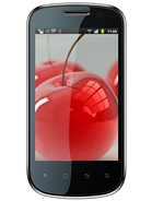Best available price of Celkon A19 in Chad
