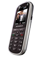 Best available price of Motorola WX288 in Chad