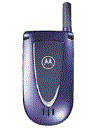 Best available price of Motorola V66i in Chad